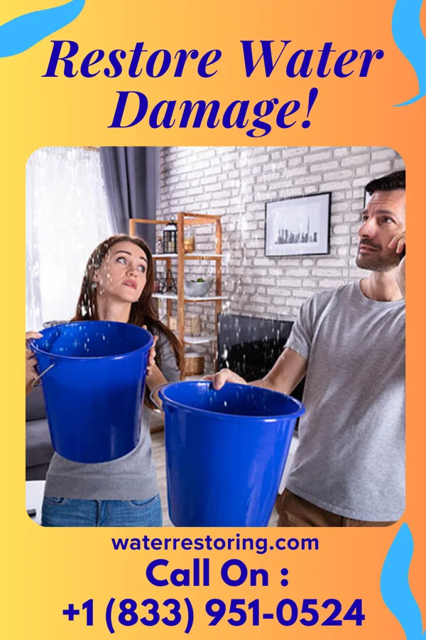 water restoration Elite Flood Damage Pros Garrett