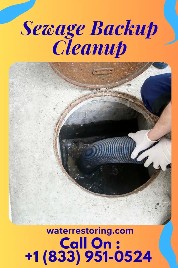 Sewage Backup Cleanup in Garrett, IN